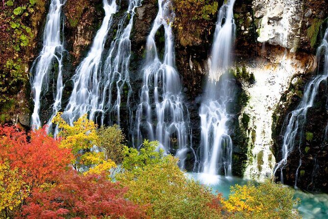 Sapporo to Blue Pond & Shirahige Falls Furano Private Tour - In-Depth Look at the Itinerary