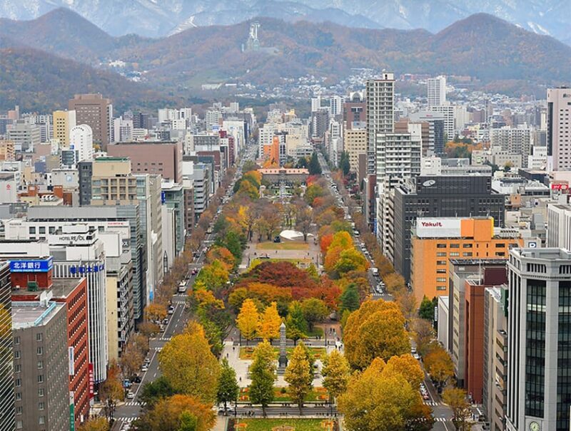 Sapporo TV Tower Admission Ticket - The Sum Up