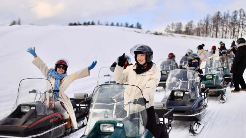 Sapporo Winter : Asahiyama Zoo (Penguin Fun & Snowmobile) - The Value for Travelers