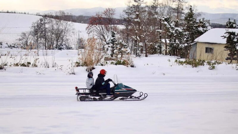 Sapporo Winter : Asahiyama Zoo (Penguin Fun & Snowmobile) - The Sum Up