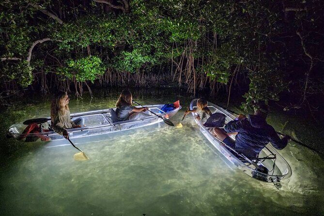 Sarasota - Clear Kayak LED Night Glass Bottom Tour - Sarasota - Clear Kayak LED Night Glass Bottom Tour Review