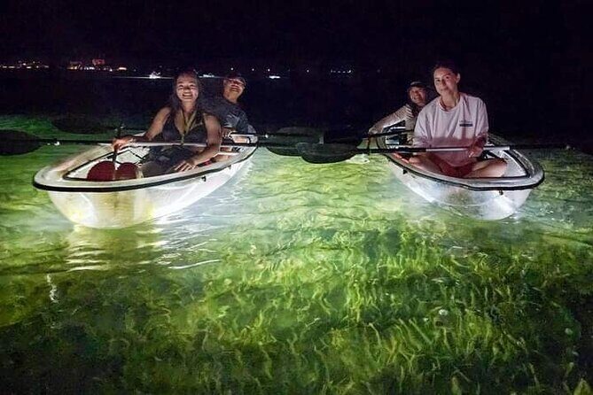 Sarasota - Clear Kayak LED Night Glass Bottom Tour - An In-Depth Look at the Sarasota LED Night Kayak Tour