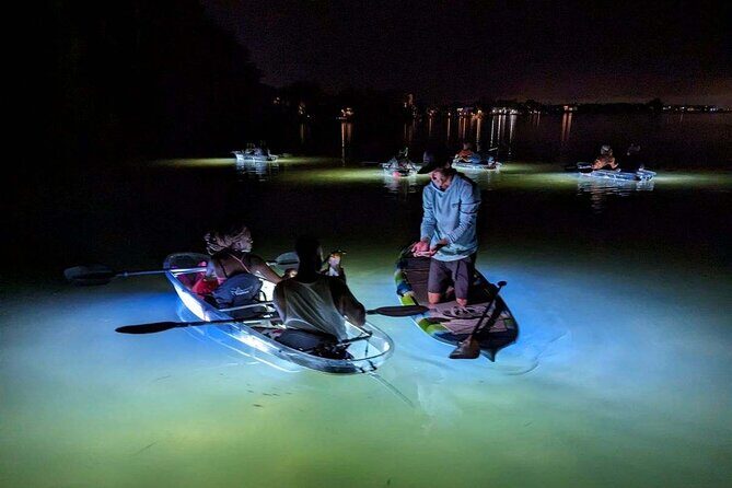 Sarasota - Clear Kayak LED Night Glass Bottom Tour - FAQ