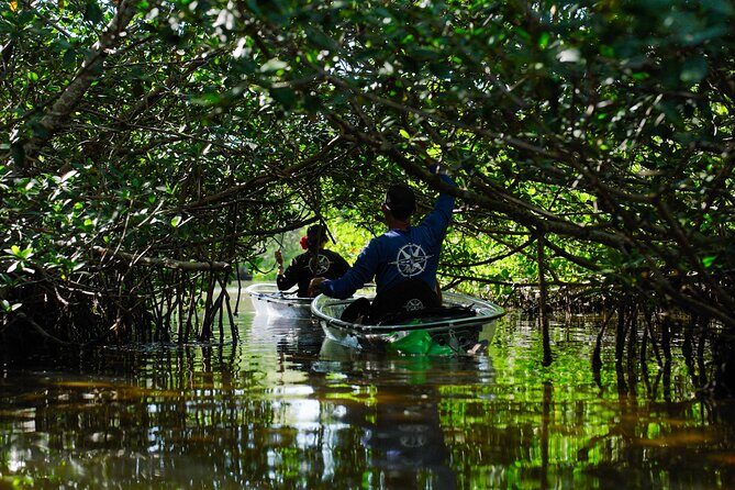 Sarasota Clear Kayak Tour - Key Points