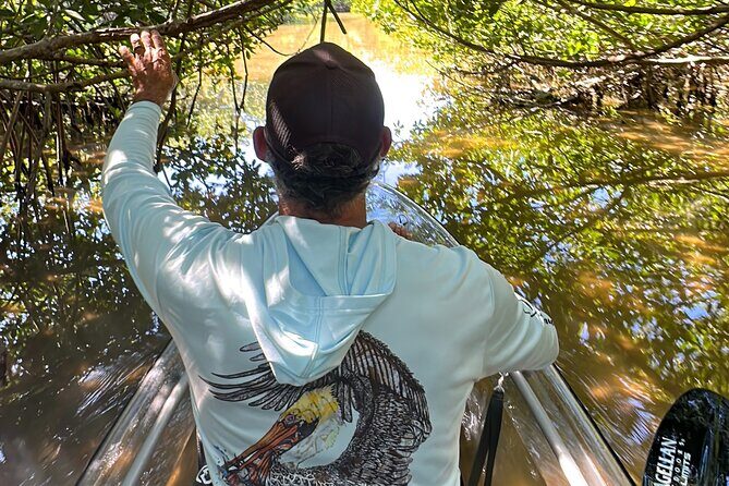 Sarasota Clear Kayak Tour - Who Should Consider This Tour?