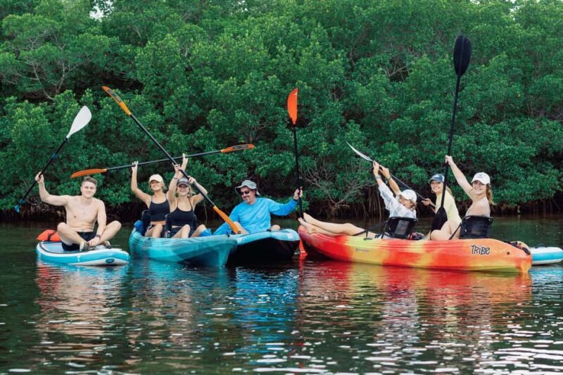 Sarasota: Guided Mangrove Tunnel Kayak Tour Lido Key - Value and Pricing