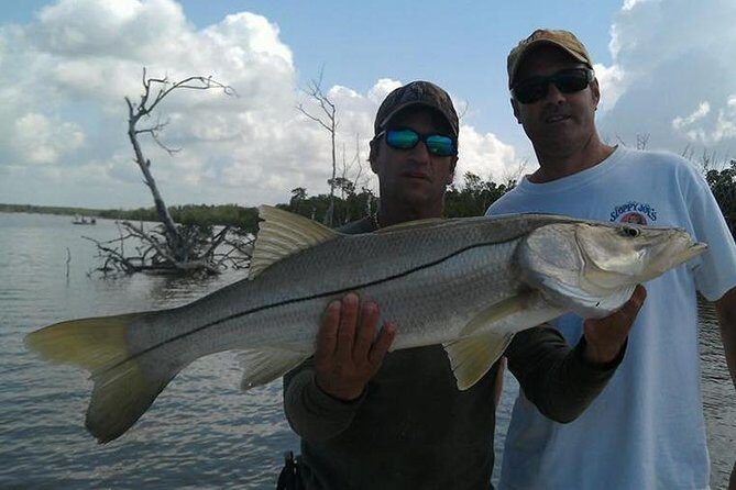 Sarasota Inshore Fishing Charters - Who Will Love This Tour?