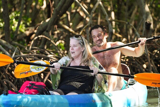Sarasota Kayak and Food Tour - An Introduction to Sarasota’s Best-Kept Secrets