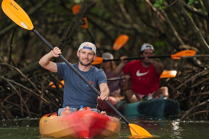 Sarasota Mangrove Tunnel Guided Kayak Adventure - Who Will Love This Tour?