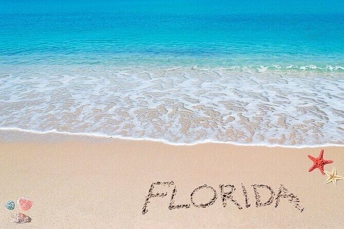 Sarasota Private Luxury Transportation - The Sum Up