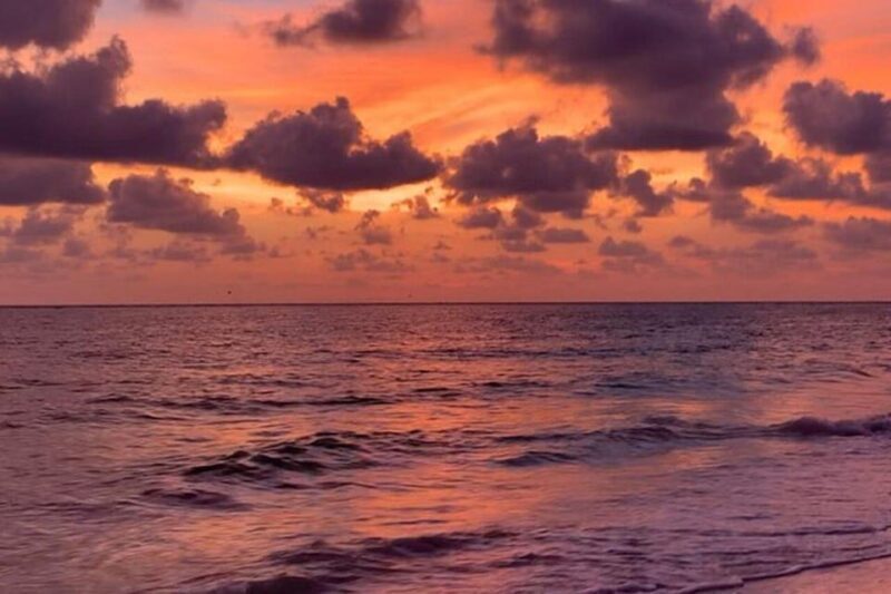 Sarasota: Siesta Key Electric Bike Sunset Tour - Value and Cost Analysis