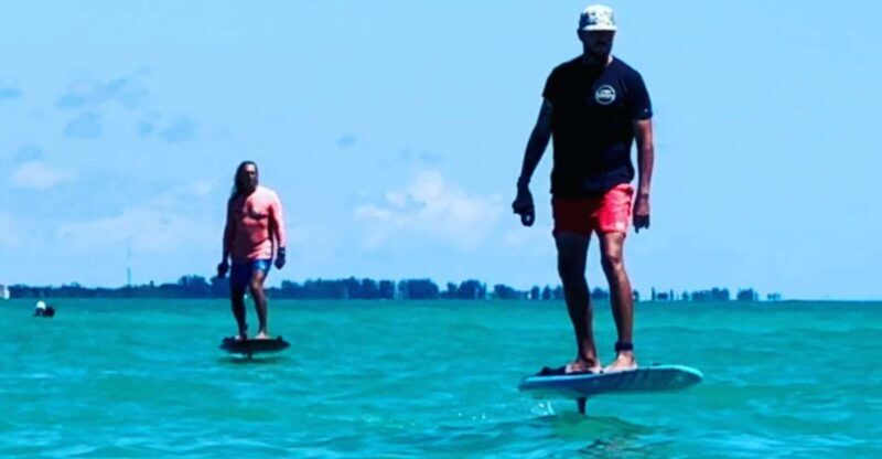 Sarasota: Ultimate Adventure - The Value of This Adventure