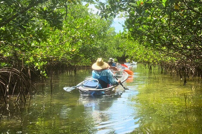 Sarasota Waterways Tour for All Ages - Key Points