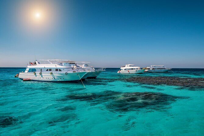 Sataya Dolphin House Boat Trip in Marsa Alam - Detailed Breakdown of the Itinerary