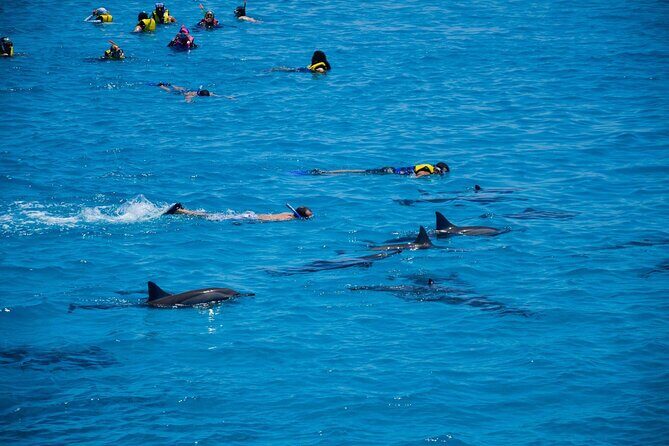 Sataya Dolphin House Boat Trip in Marsa Alam - Frequently Asked Questions (FAQs)
