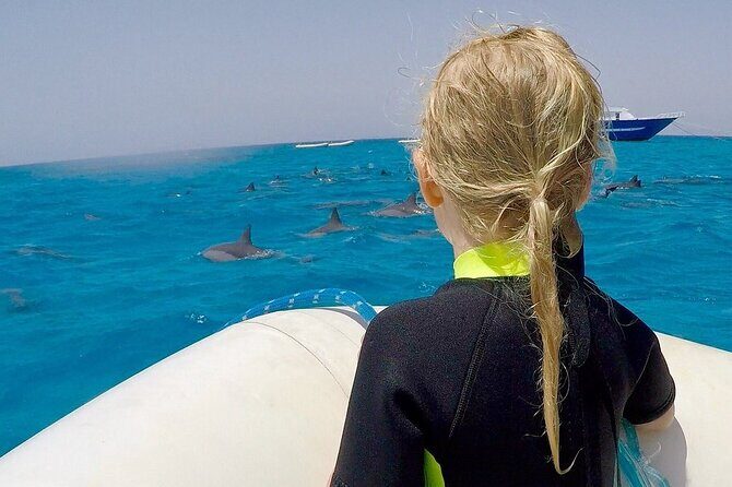 Sataya Dolphin House Snorkel Trip - Marsa Alam - Wrapping It Up