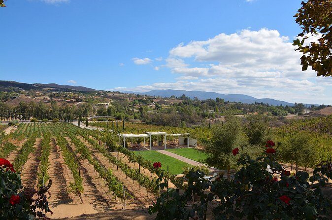 Saturday Legacy Wineries Wine Tour - Who Will Love This Tour?