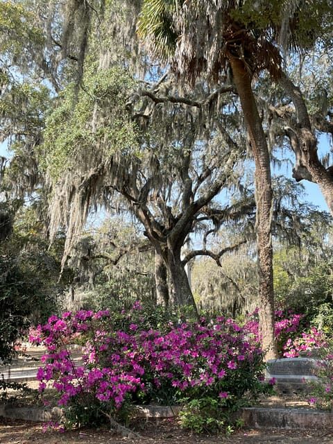 Savannah: Bonaventure Cemetery Golf Cart Guided Tour - Overview of the Bonaventure Cemetery Golf Cart Tour