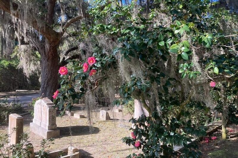 Savannah: Bonaventure Cemetery Golf Cart Guided Tour - Practical Details and Pricing