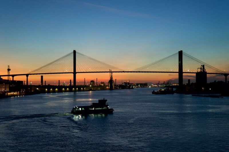 Savannah: Buffet Dinner Cruise with Live Entertainment - What the Reviews Say: Authentic Perspectives