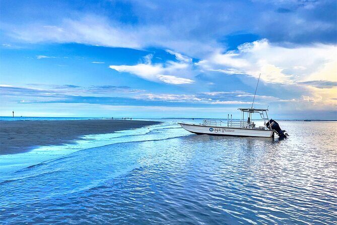 Savannah Coastal Dolphin Eco Tour - The Itinerary: What to Expect on Your Dolphin Eco Tour