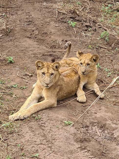 Savannah Explorer Big Five - Value for Money