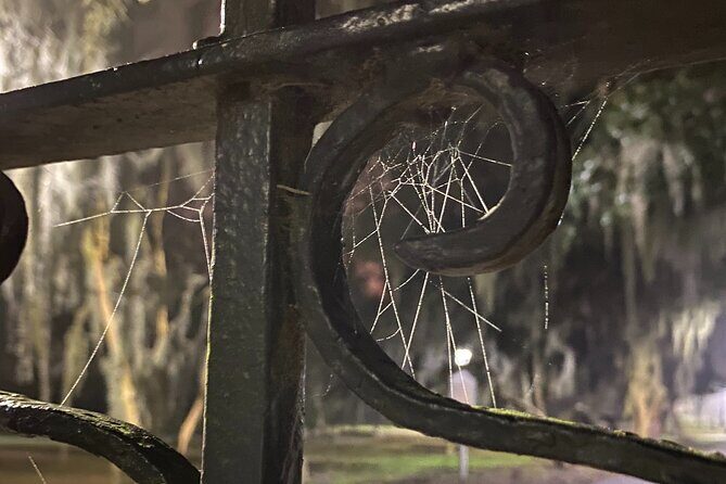 Savannah Ghost Tour for Adults ALL Alcoholic Drinks Included - The Group Size and Duration