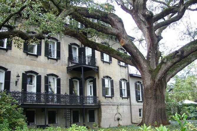 Savannah Historic District Walking Tour - Reviews: A Mix of Praise and Constructive Feedback