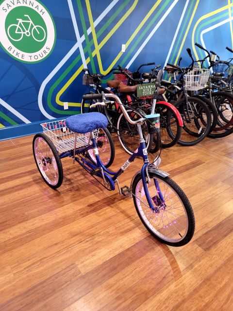 Savannah: Historical Bike Tour with Tour Guide - Key Points