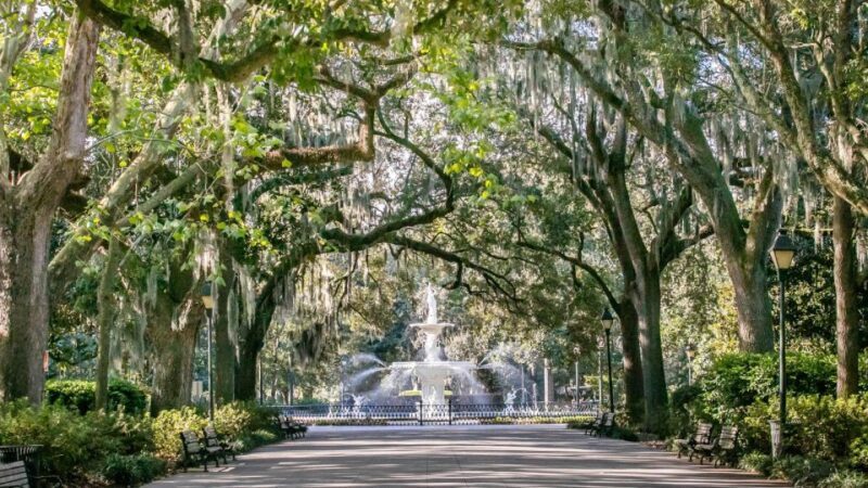 Savannah: History, Culture, & Scenic Views E-Bike Tour - A Relaxed Introduction to Savannah