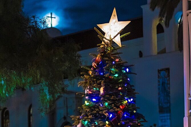 Savannah Holiday Sights and Festive Nights Trolley Tour - An In-Depth Look at the Savannah Holiday Sights and Festive Nights Trolley Tour