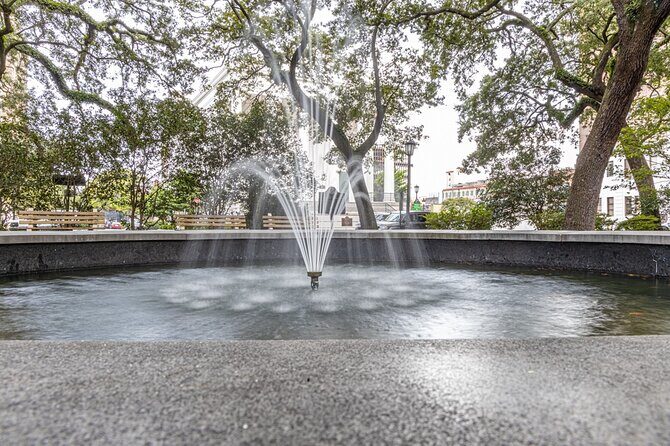 Savannah Photography Tour led by a Local Photographer - Final Thoughts: Who Will Benefit Most?