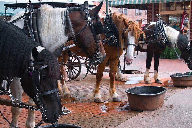 Savannah Scavenger Hunt Walking Tour and Game - FAQs