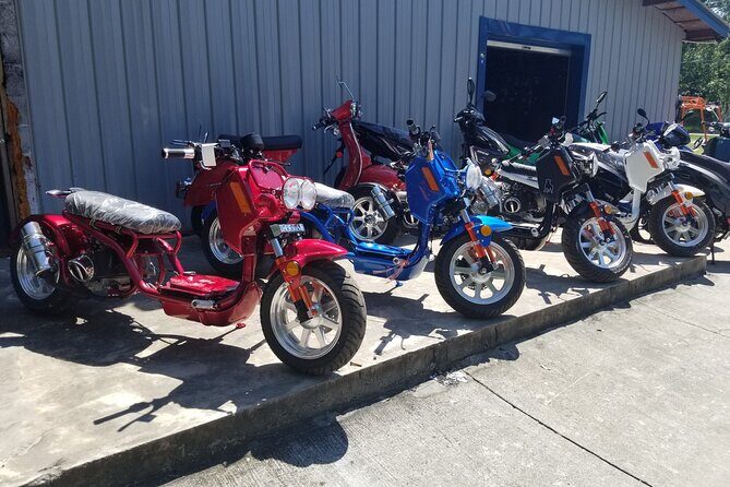 Savannah Scooter and Trike Rental with Helmet - The Experience in Detail: What to Expect