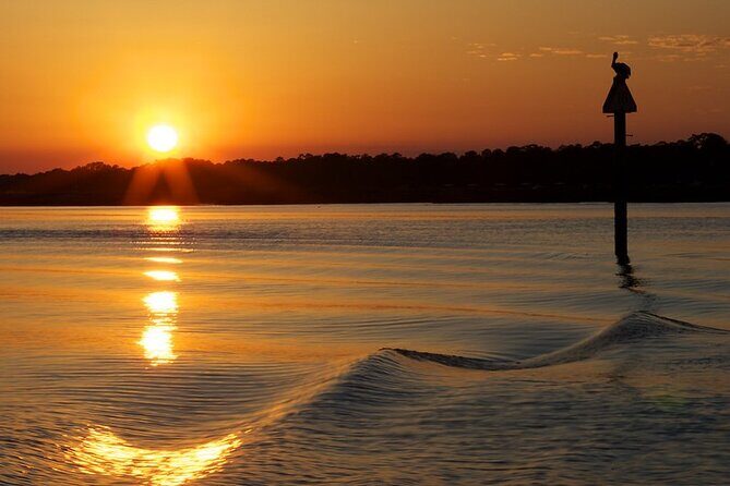 Savannah Sunset Dolphin Eco Tour - An In-Depth Look at the Savannah Sunset Dolphin Eco Tour