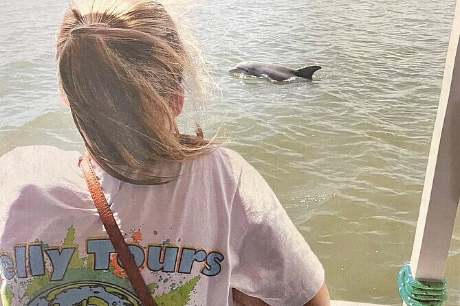 Savannah to Tybee Island with Dolphin Cruise - How the Tour Works: Transportation and Timing