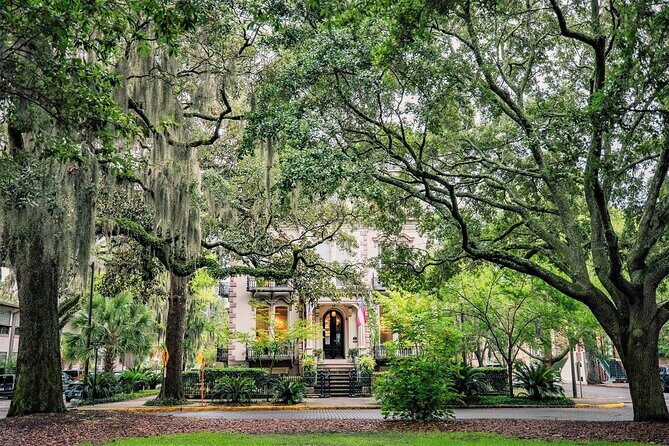 Savannah's Ghost City "Dead of Night" Walking Night Tour - Key Points