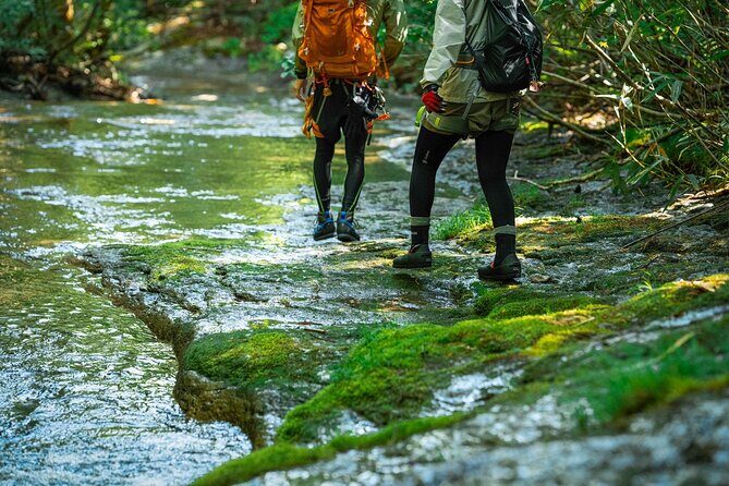 Sawanobori River Trekking Tour - The Scenic End and Return