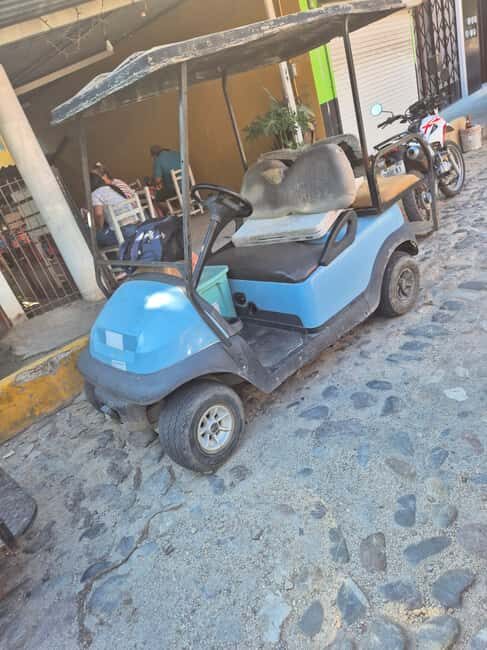 Sayulita: Electric Cart Rental - Why Choose a Sayulita Electric Cart Rental?