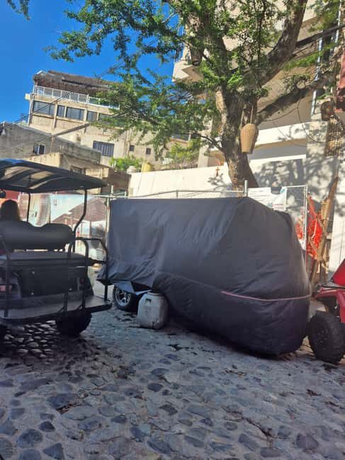 Sayulita: Electric Cart Rental - Exploring Sayulita with Your Electric Cart