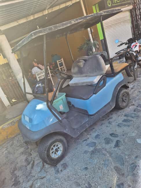 Sayulita: Electric Cart Rental - Authentic Experiences and Traveler Insights