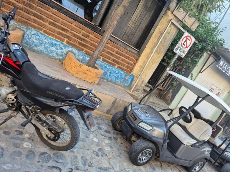 Sayulita: Electric Cart Rental - Who Would Appreciate This Tour?