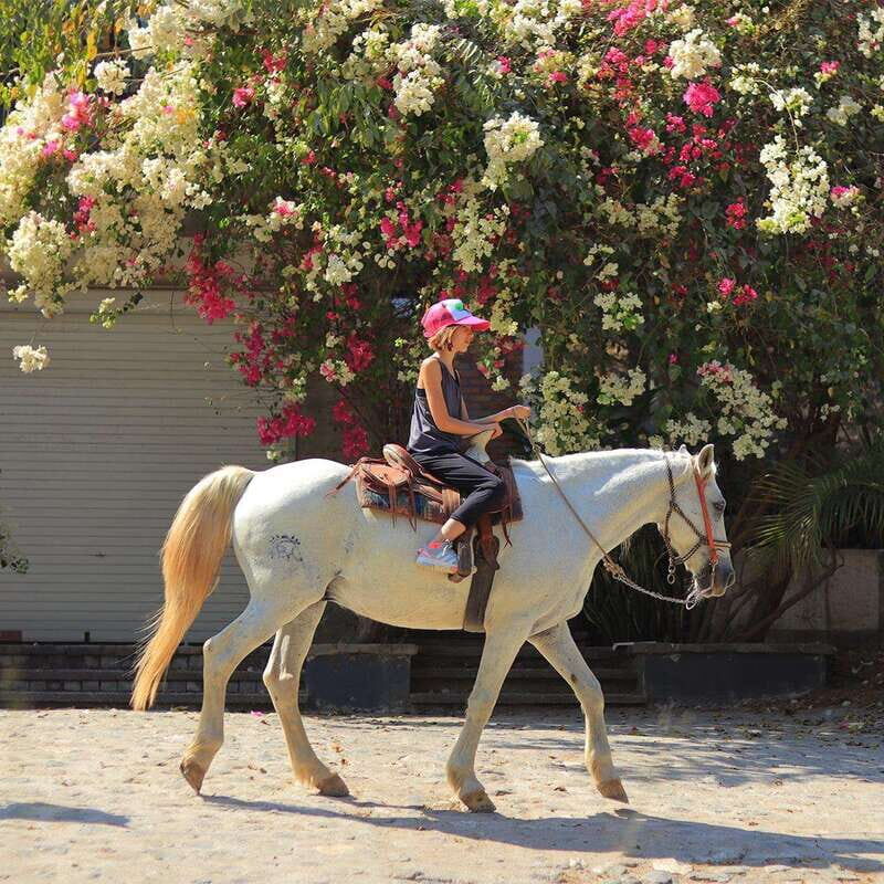 Sayulita: Horseback Riding Tour - A Detailed Look at the Sayulita Horseback Riding Tour