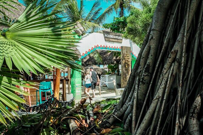 Sayulita & San Pancho: Private Day Trip from Puerto Vallarta - An Honest Look at the Experience