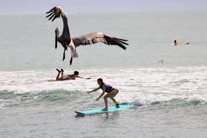 Sayulita: Surf Lessons for Beginner/Intermediate/ Advance - Key Points