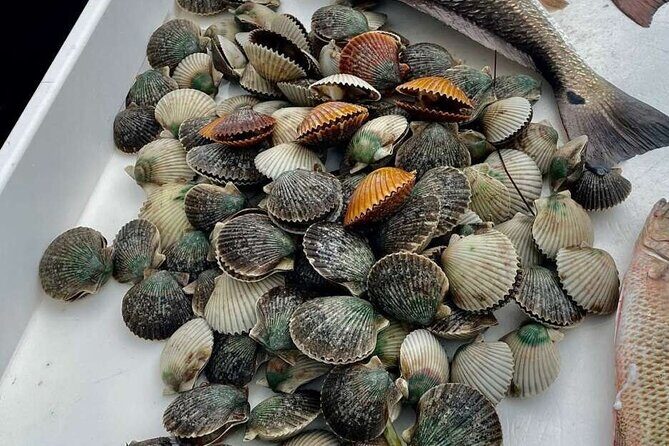 Scalloping Charters - The Sum Up: Who Is This Tour Perfect For?