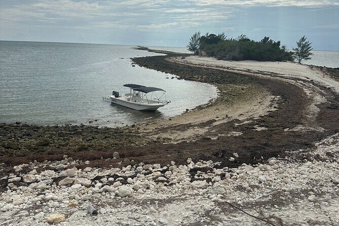 Scalloping Charters - FAQ About Big 3 Charters Scalloping Tour