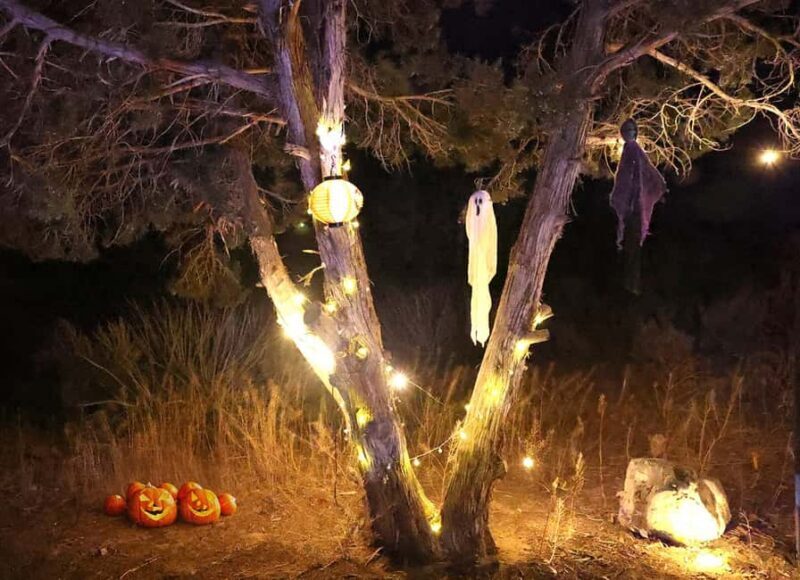 Scary Movie Night in the Desert - Scary Movie Night in the Desert: A Fun and Spooky Outdoor Experience