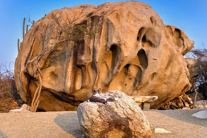 Scenic Aruba Self-Guided Driving and Walking Audio Tour - Who Will Love This Tour?