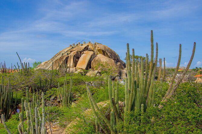 Scenic Aruba Self-Guided Driving and Walking Audio Tour - Final Thoughts